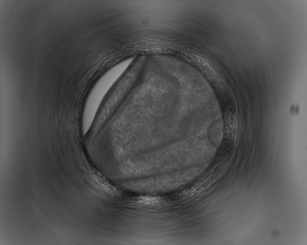 X0000098070457200804251442