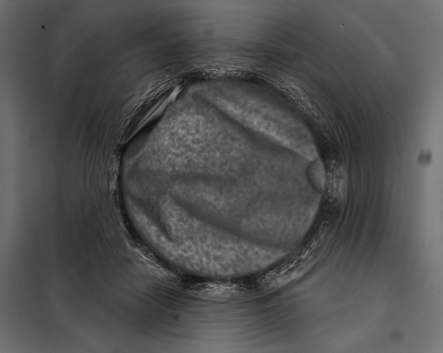 X0000098070458200804251442