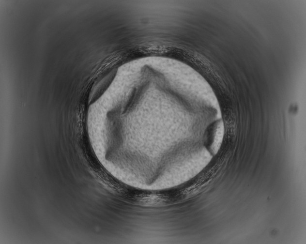 X0000098070460200804251442