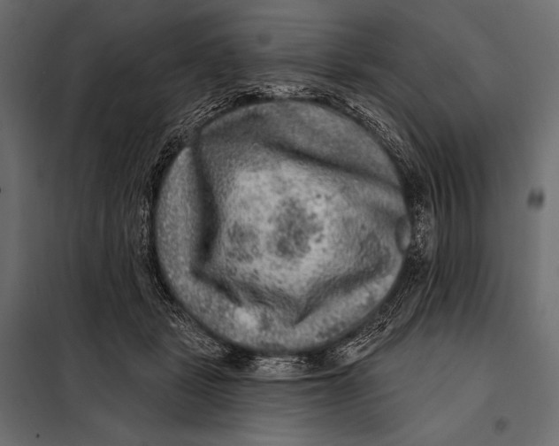 X0000098070461200804251442