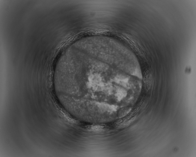 X0000098070462200804251442