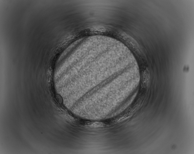 X0000098070463200804251442