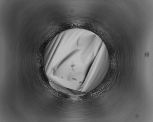 X0000098070464200804251442