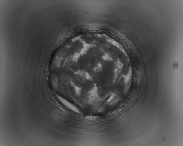 X0000098070465200804251442