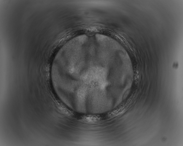 X0000098070466200804251442