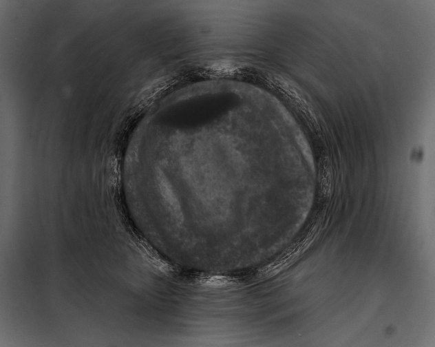 X0000098070467200804251442