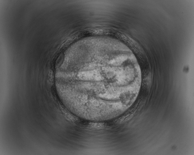 X0000098070469200804251442