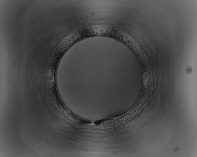 X0000098070471200804251442