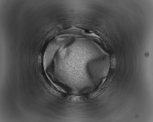 X0000098070472200804251442