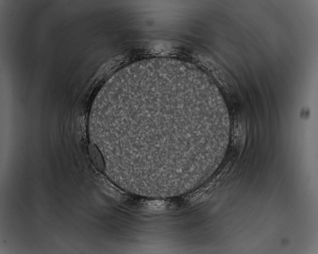 X0000098070473200804251442