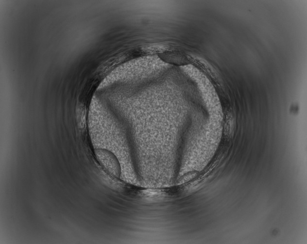 X0000098070477200804251442