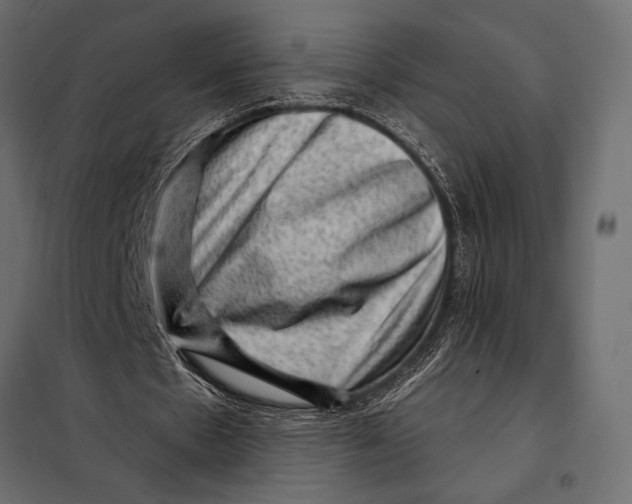 X0000098070481200804251442