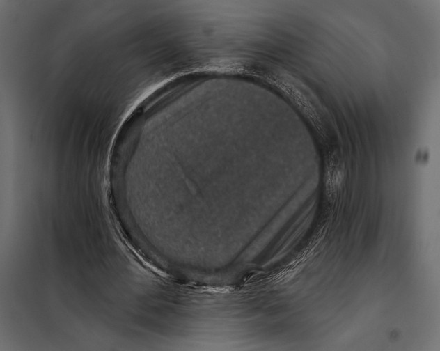 X0000098070484200804251442