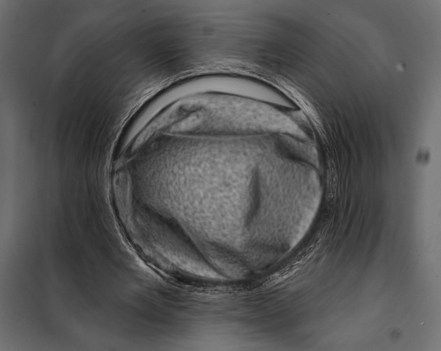 X0000098070485200804251442