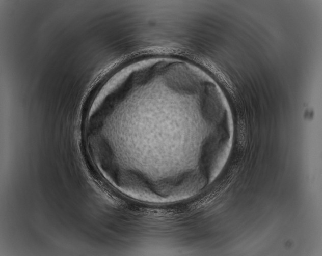 X0000098070486200804251442