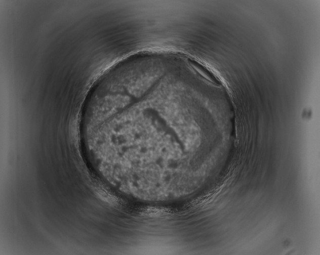 X0000098070487200804251442