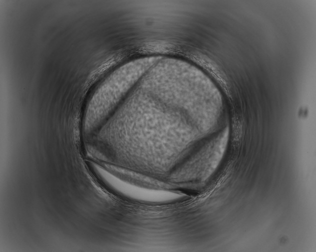 X0000098070489200804251441