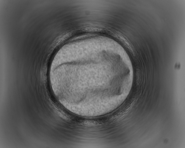 X0000098070490200804251441