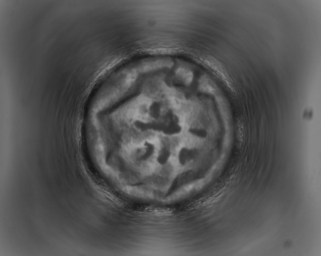 X0000098070491200804251441