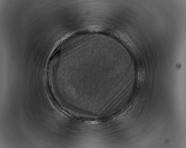 X0000098070492200804251441