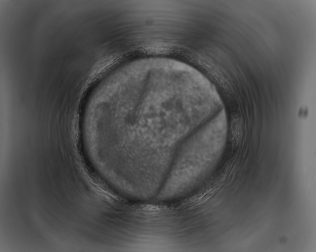 X0000098070494200804251441