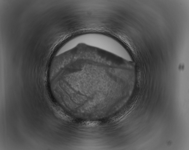 X0000098070495200804251441