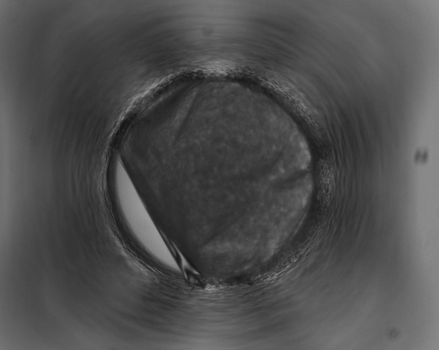 X0000098070496200804251441