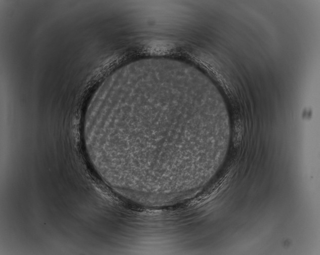 X0000098070497200804251441