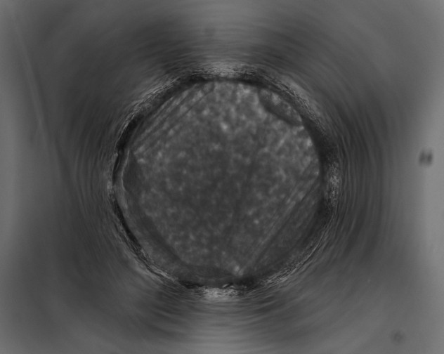 X0000098070500200804251441