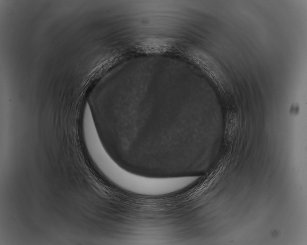 X0000098070501200804251441