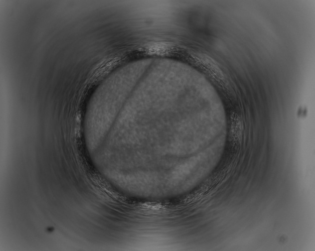 X0000098070502200804251441