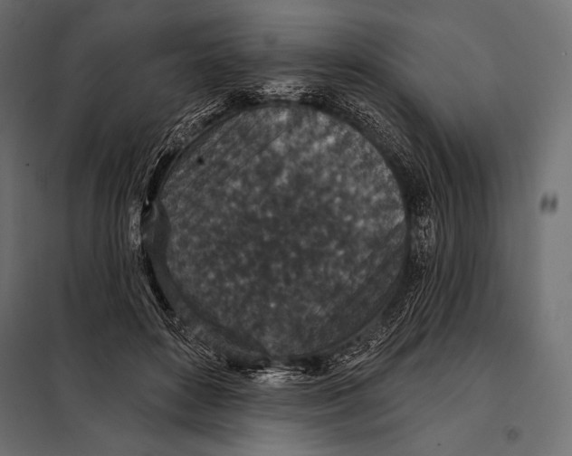 X0000098070504200804251441