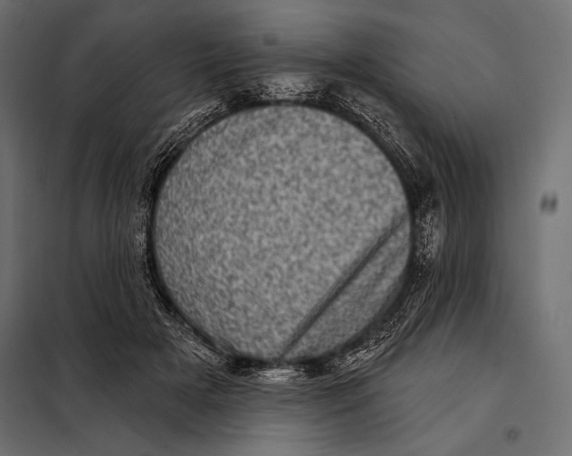 X0000098070505200804251441