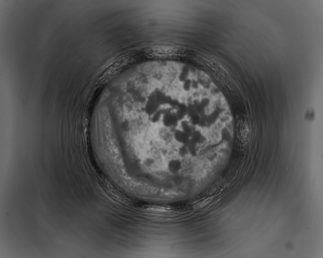 X0000098070507200804251441