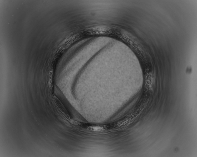 X0000098070509200804251441