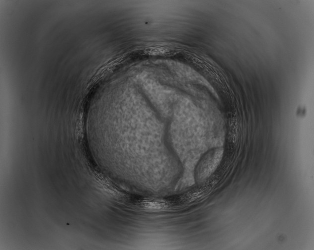 X0000098070510200804251441