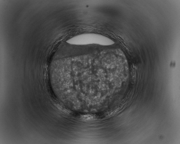 X0000098070511200804251441