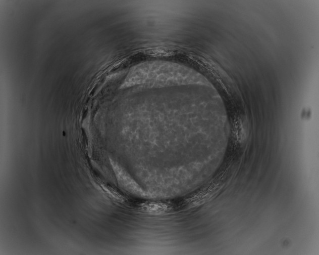 X0000098070512200804251441