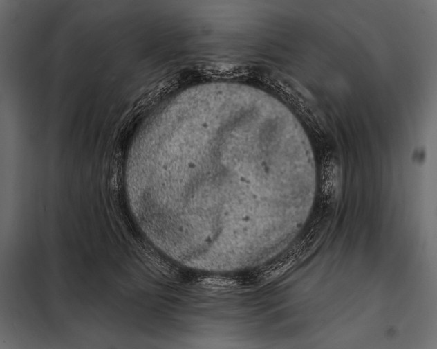 X0000098070515200804251441