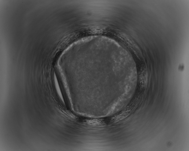 X0000098070516200804251441