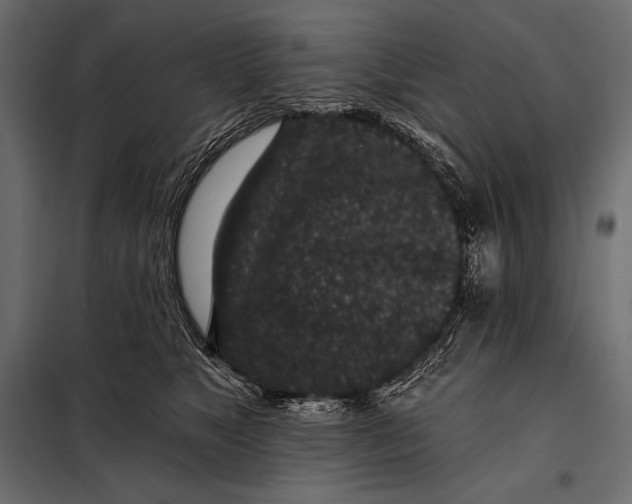 X0000098070517200804251441