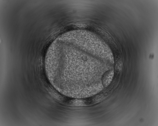 X0000098070518200804251441