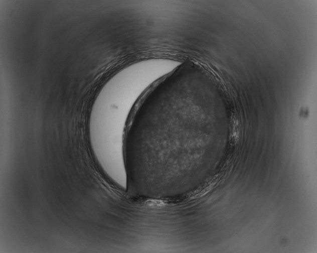 X0000098070519200804251441