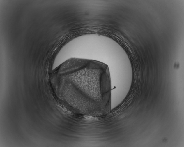 X0000098070520200804251441