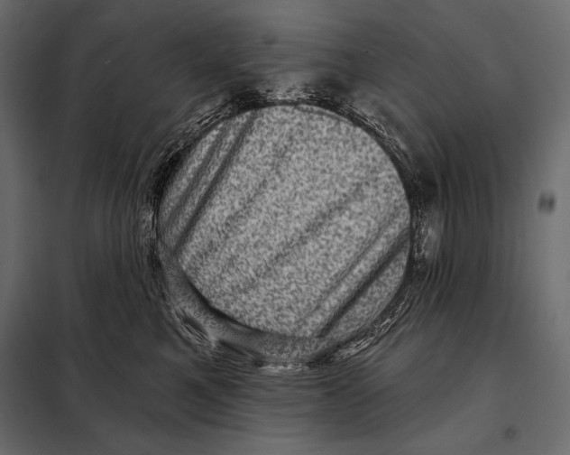 X0000098070521200804251441