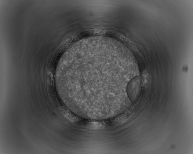 X0000098070522200804251441