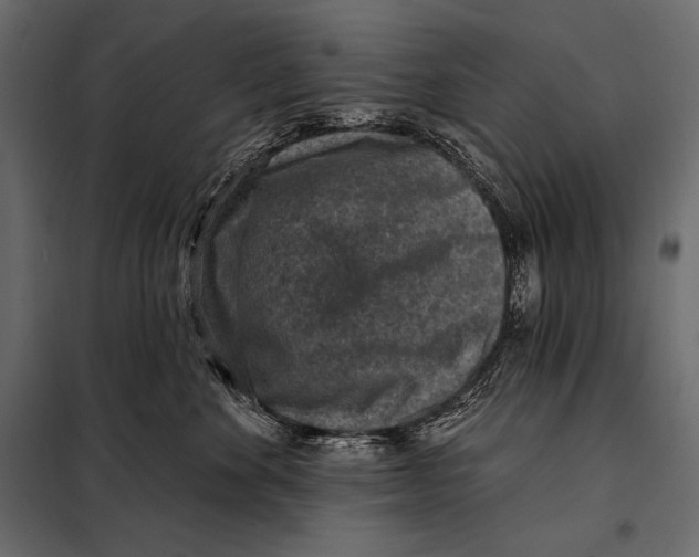 X0000098070524200804251441