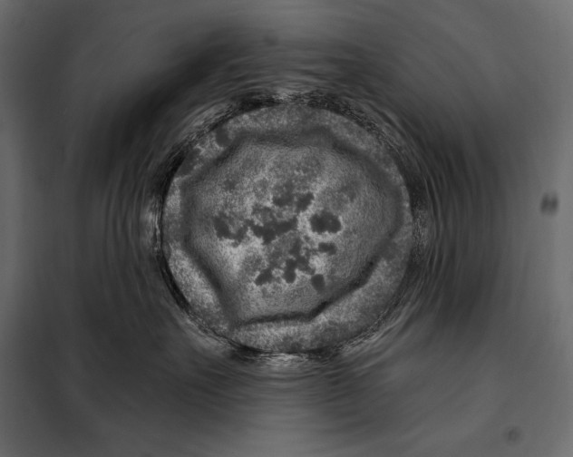 X0000098070527200804251441