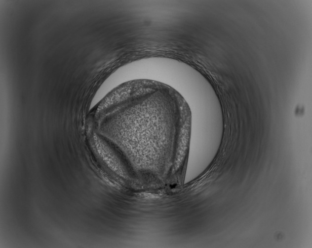 X0000098070528200804251441