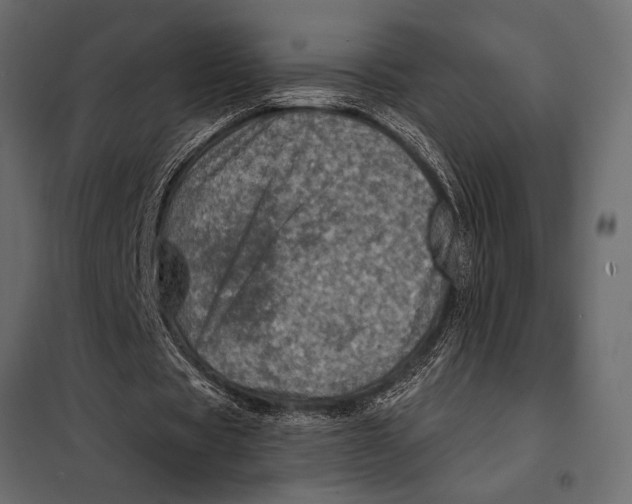 X0000098070529200804251440